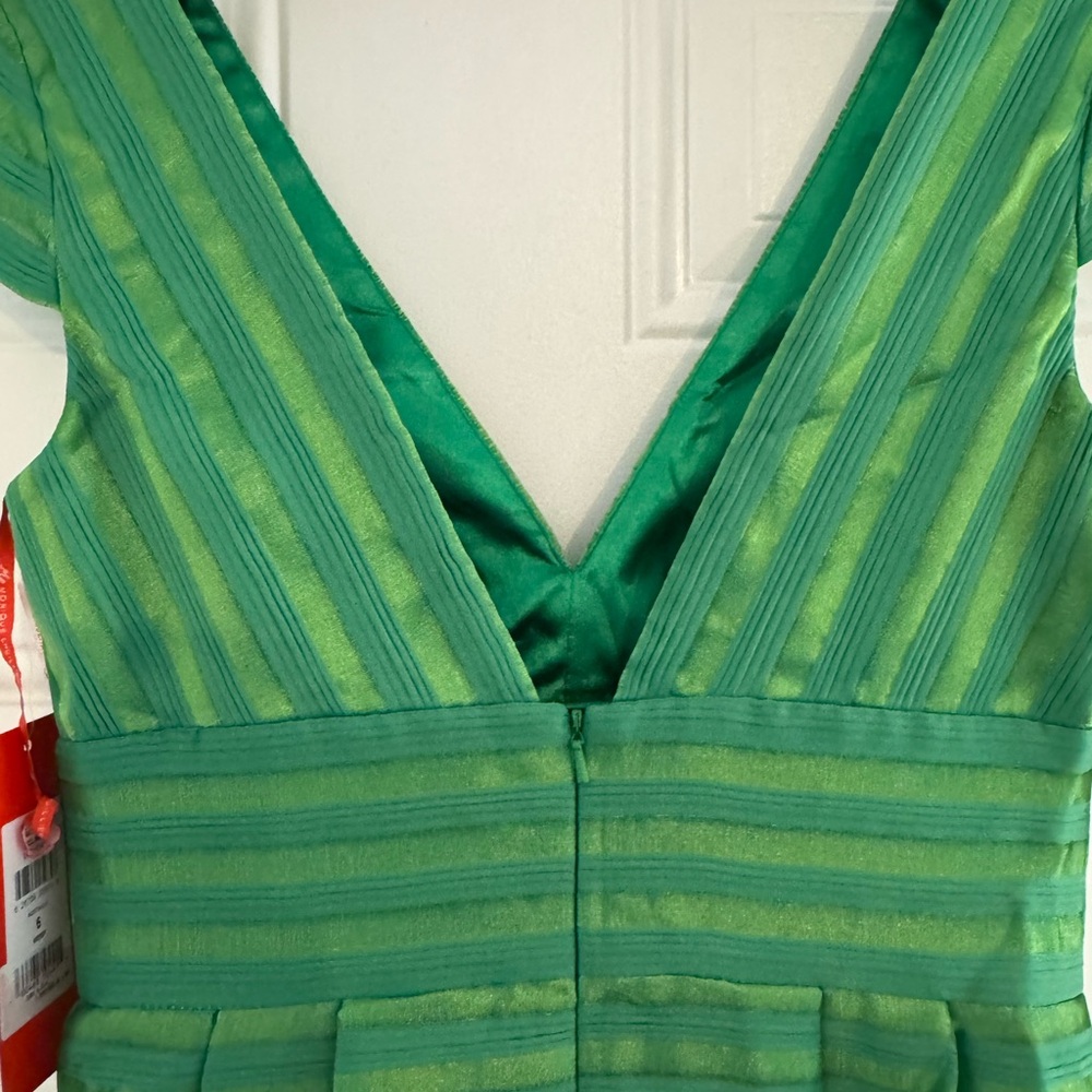 Monique Lhuillier Vibrant Green Striped Maxi Dress - Picture 6 of 12